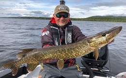 Stiuci mari, Suedia, Stefan Trumstedt si Lapland Pike 2019 in cateva vorbe. Si poze. 